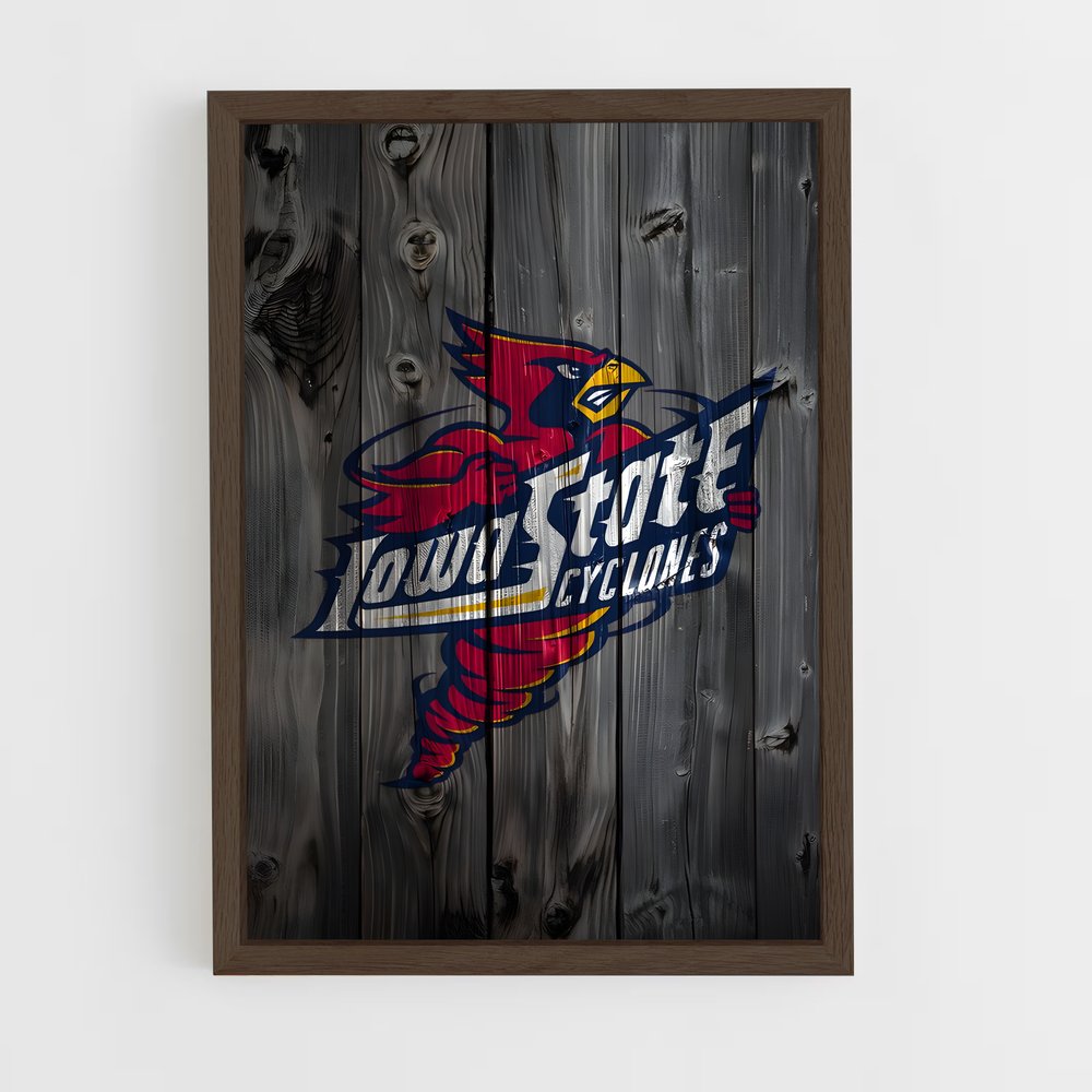 Poster Cyclones en Fête – affiche Basketball (vue 5)